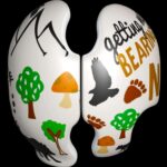 baby-bear-cranial-band-decals-4-scaled-1.jpg
