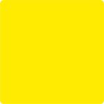 hansa-yellow-cranial-band-paint.jpg