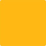 primary-yellow-cranial-band-paint.jpg