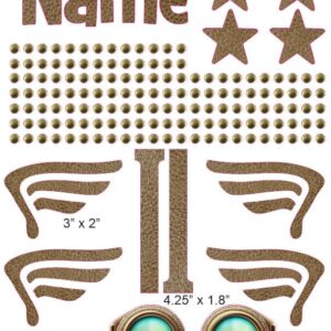 Aviator goggles cranial band stickers