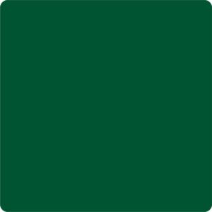 Medium Green Paint